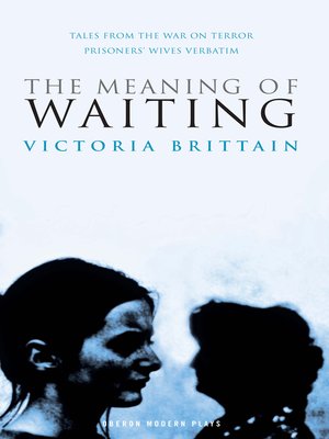 cover image of The Meaning of Waiting
